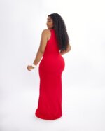 ZIPPED DRESS (RED) - Image 2